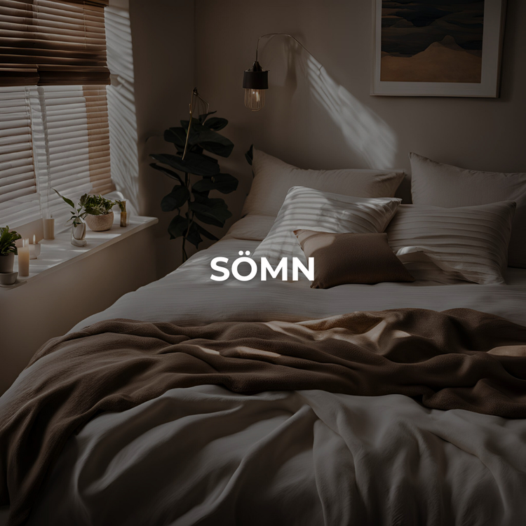 Sömn